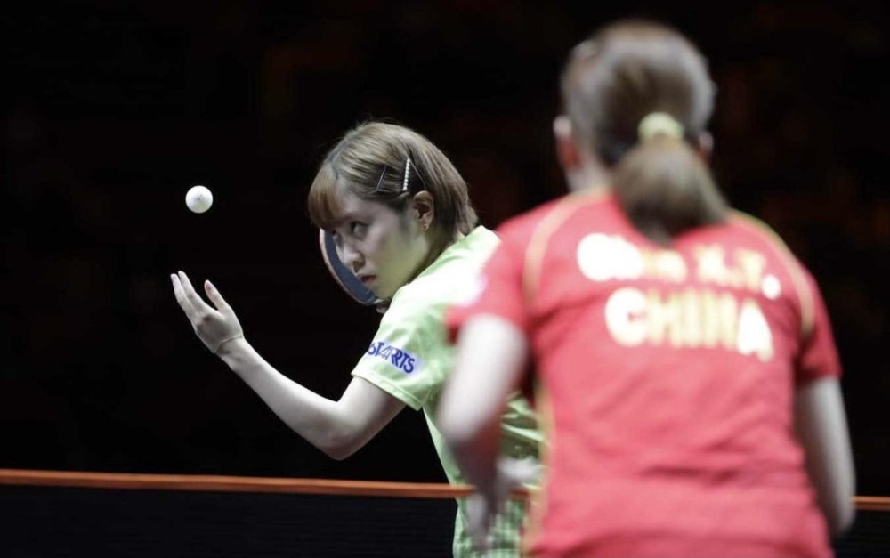 供了珍贵的 供了珍贵的