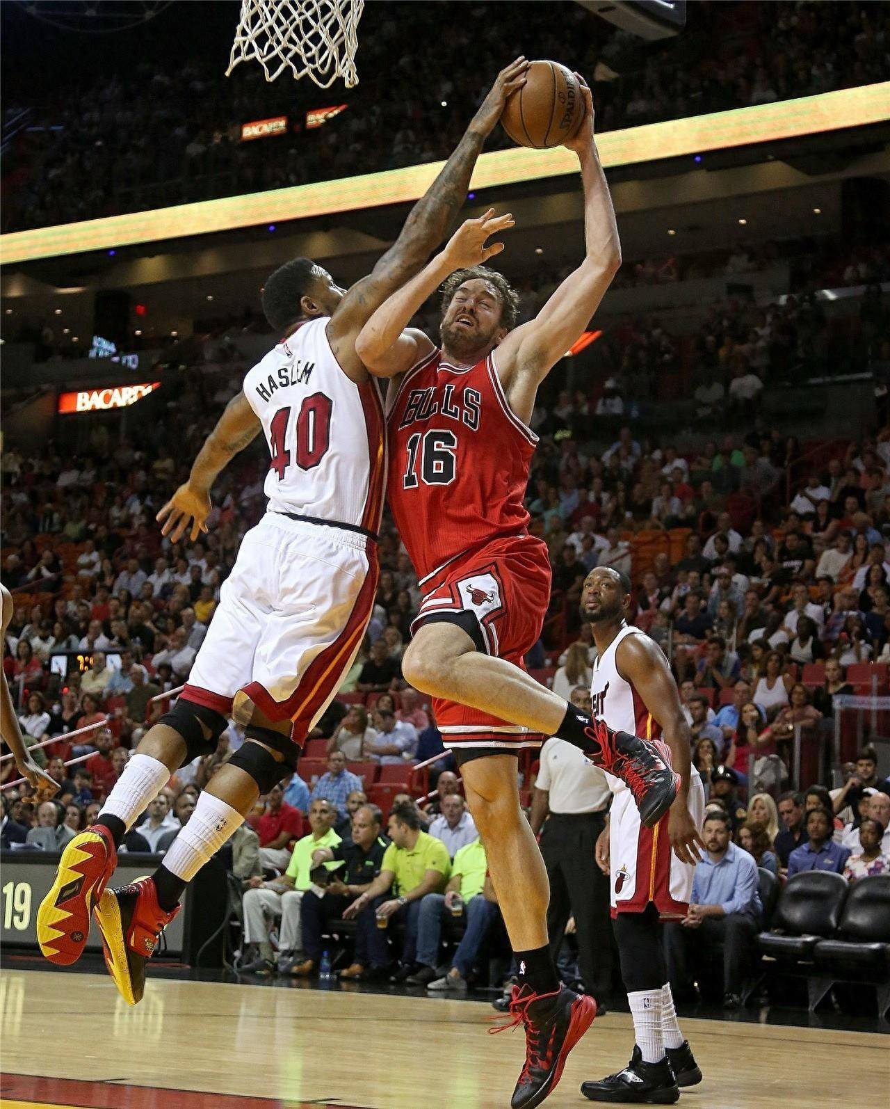 始终滋养着 始终滋养着